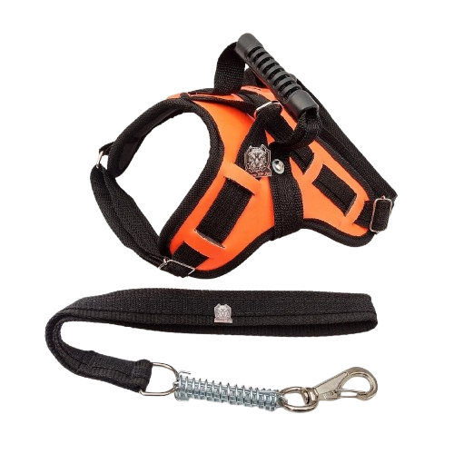 Peitoral Reforçado em Couro para Raças Fortes – Segurança, Durabilidade e Conforto