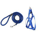 Kit Coleira Peitoral + Guia de Corda Reforçado – Passeios Confortáveis e Seguros!